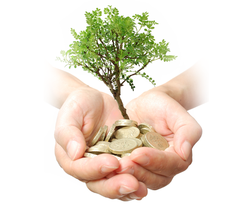 Wakaf Uang: Cara Modern Menebar Kebaikan yang Abadi